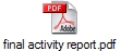 final activity report.pdf